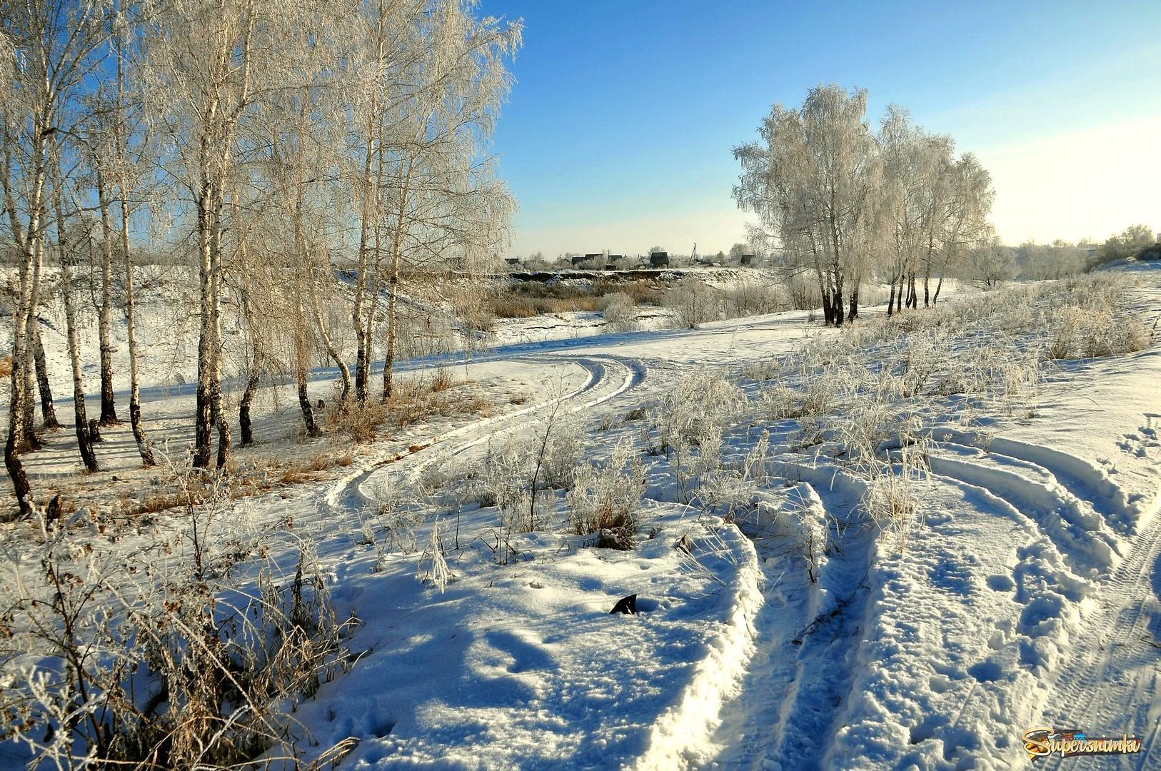 Зимняя природа Муромцево Омской области