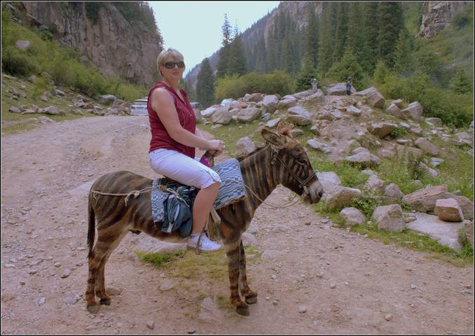 Странный,бедный ослик.