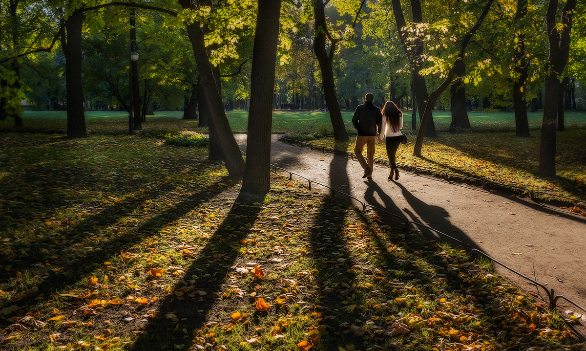 Тени осеннего парка