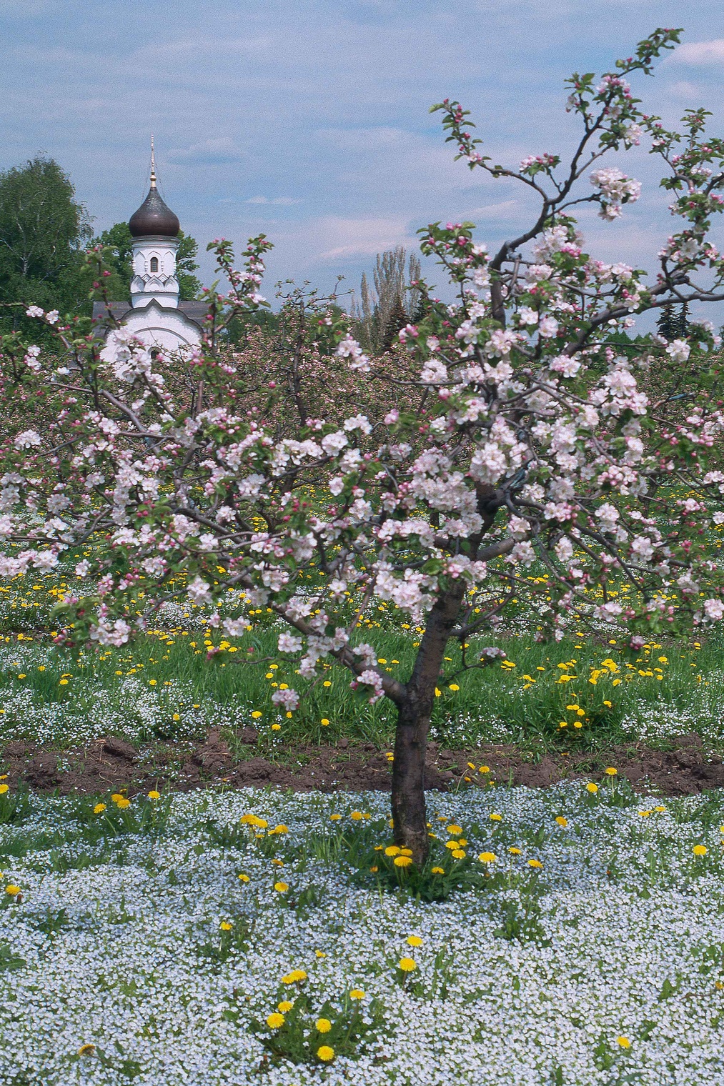 Весна.