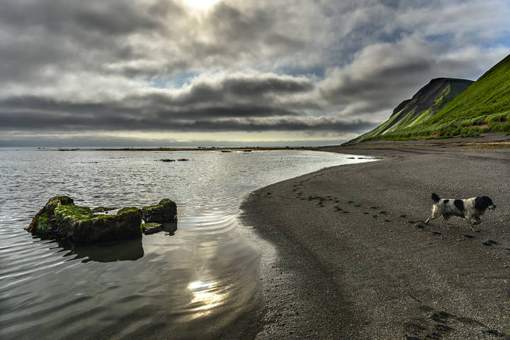 Прогулка по берегу моря