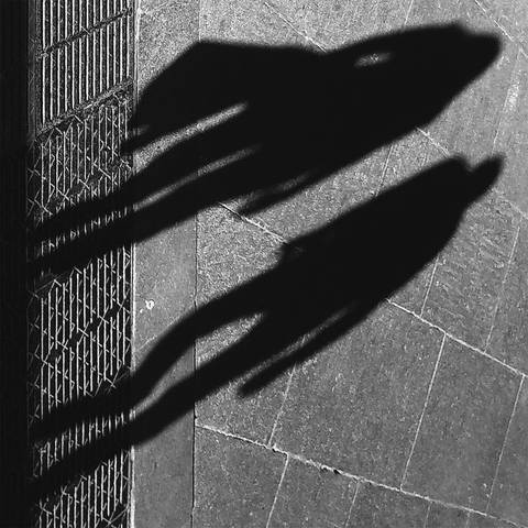 IN DER ABENDLICHEN SONNE ... 