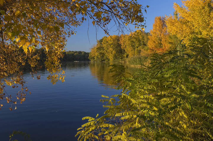 Чарующая осень