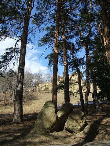 Валуны и сосны