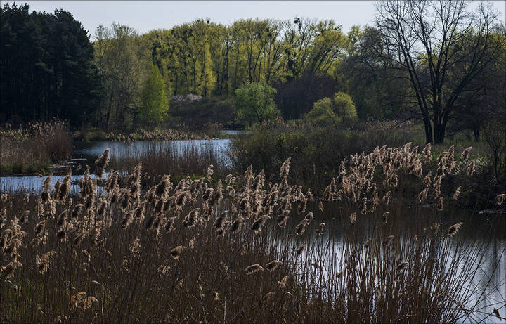 Весна, вода