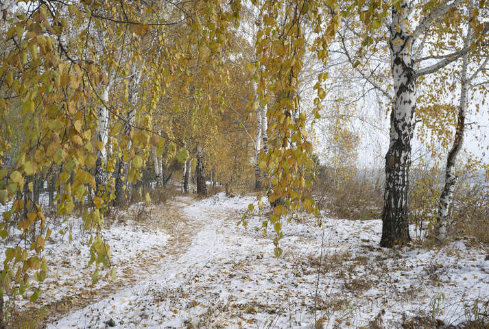 Первая встреча осени с зимой.
