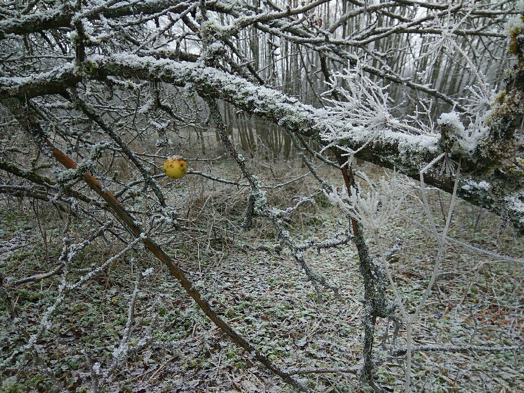 Последнее