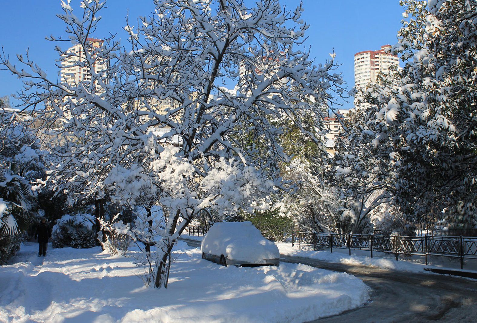 Первый и последний снег