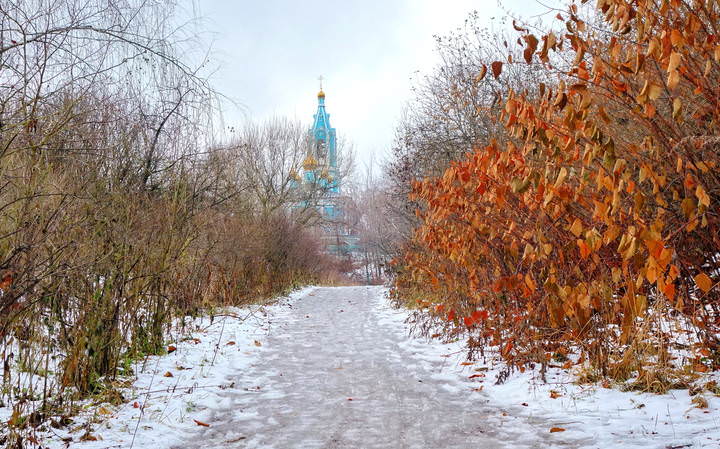 самый первый снег ...