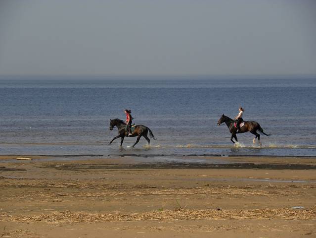 По кромке моря