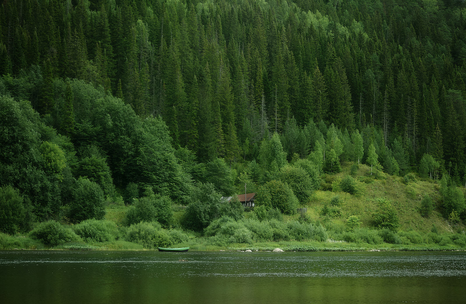 Затерянные в зеленом 