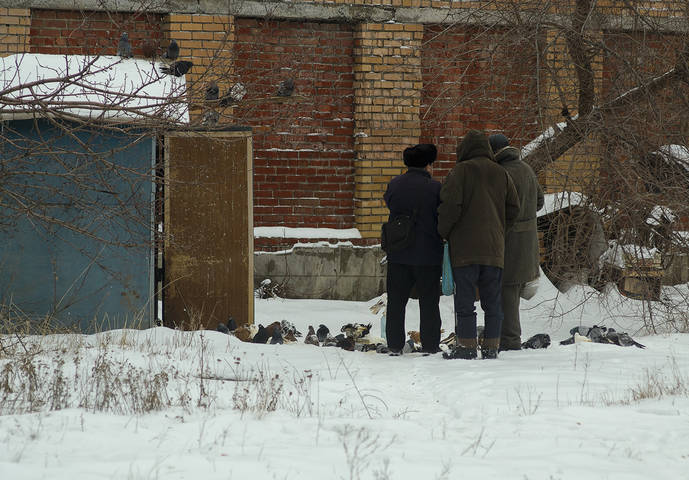 Голубятники