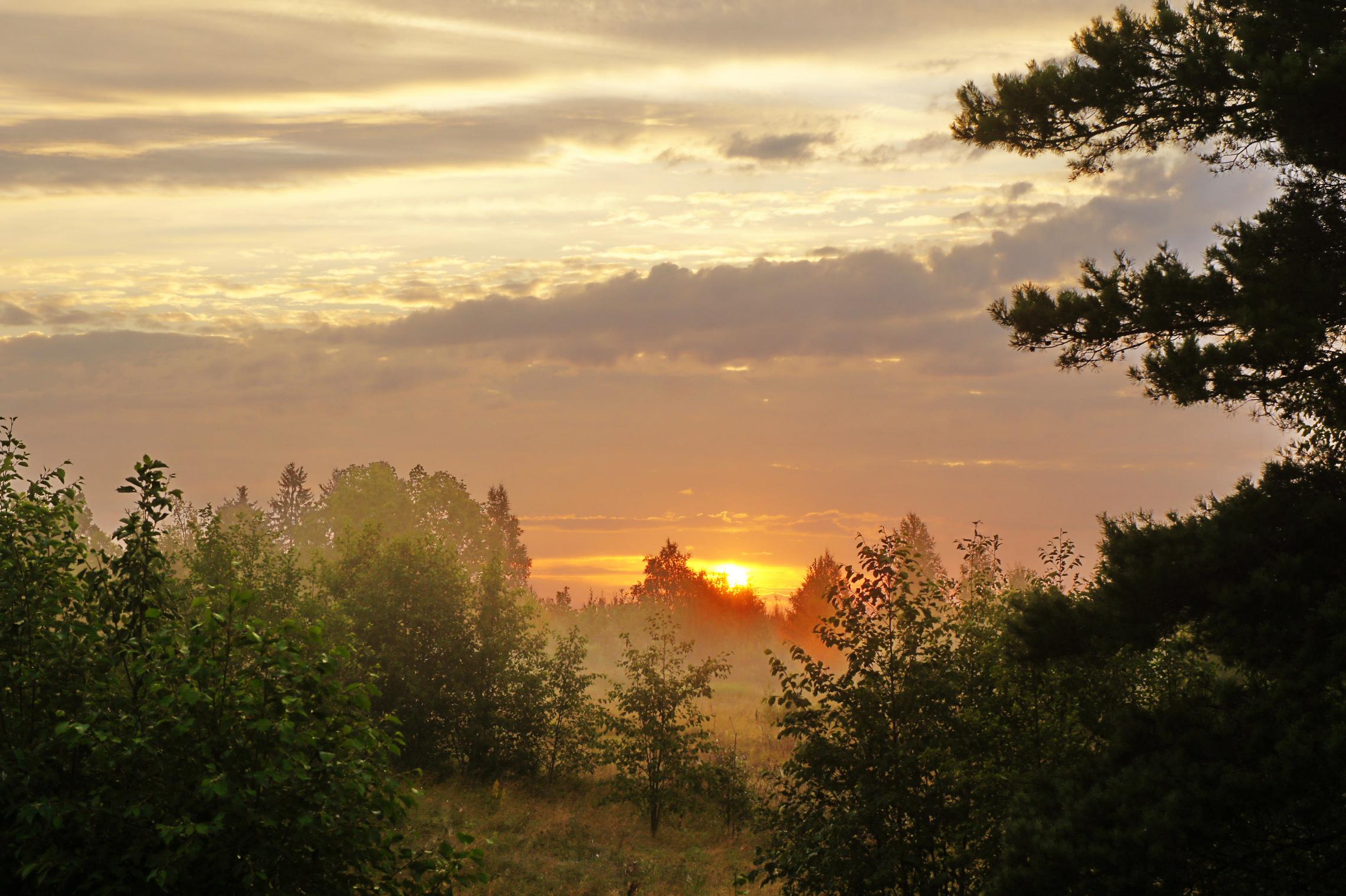Сказочное утро
