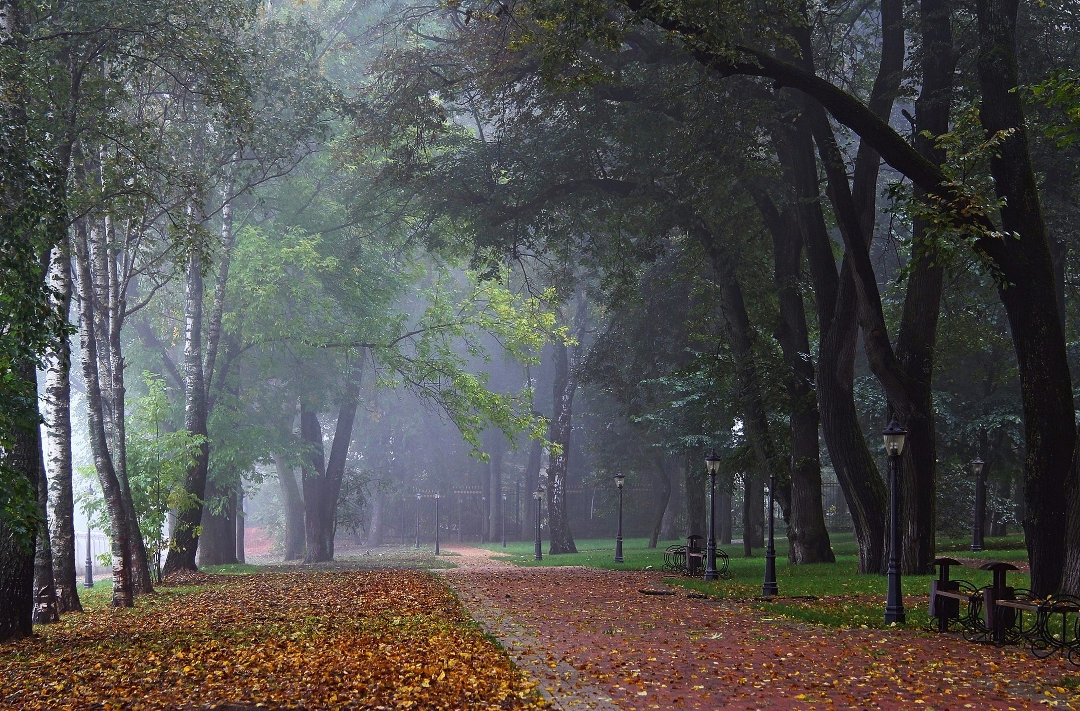 Осень в парке городском