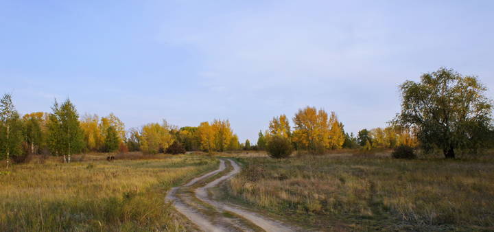 Осенняя дорога.