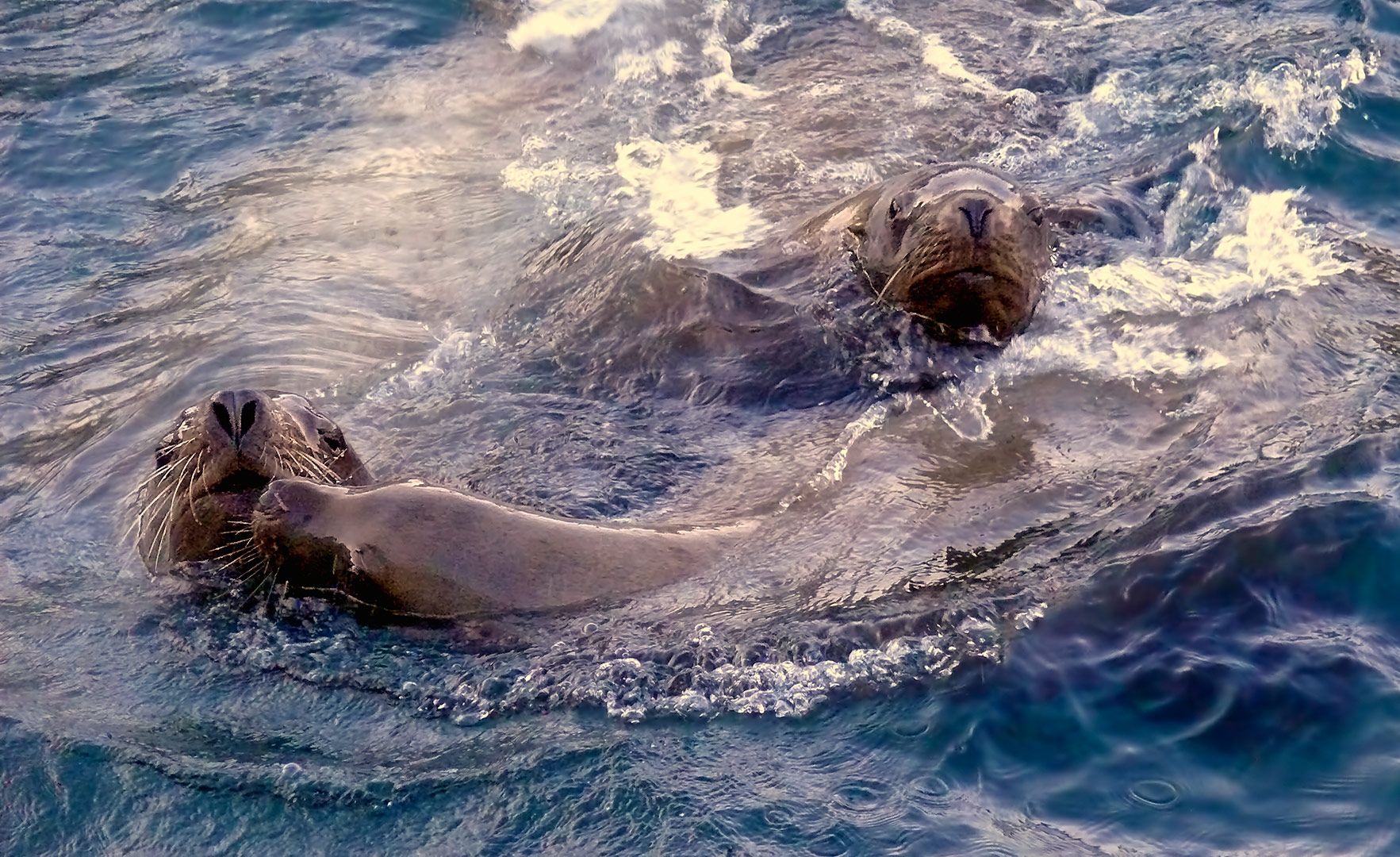 третий лишний..