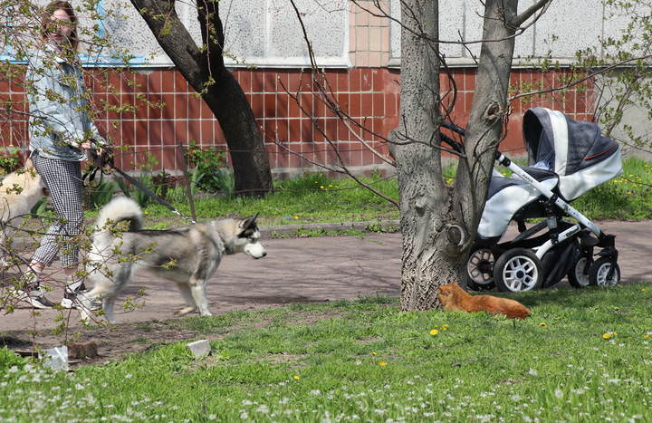 Стережёшь?
