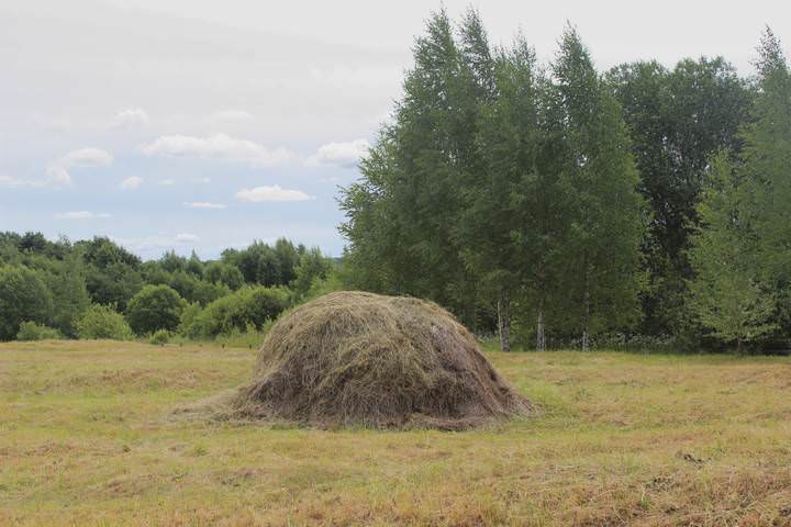 стог сена
