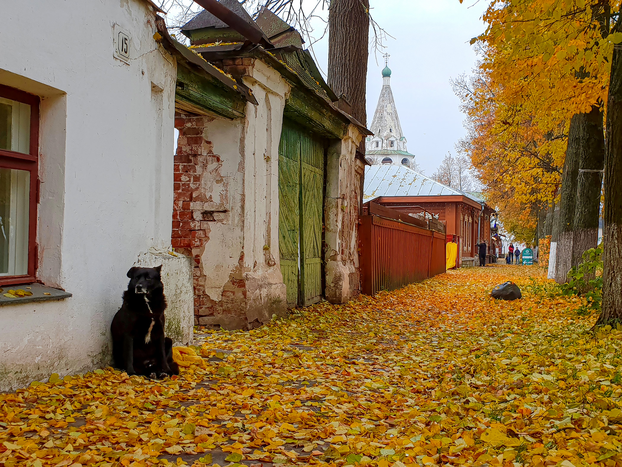 Вот и осень наступила