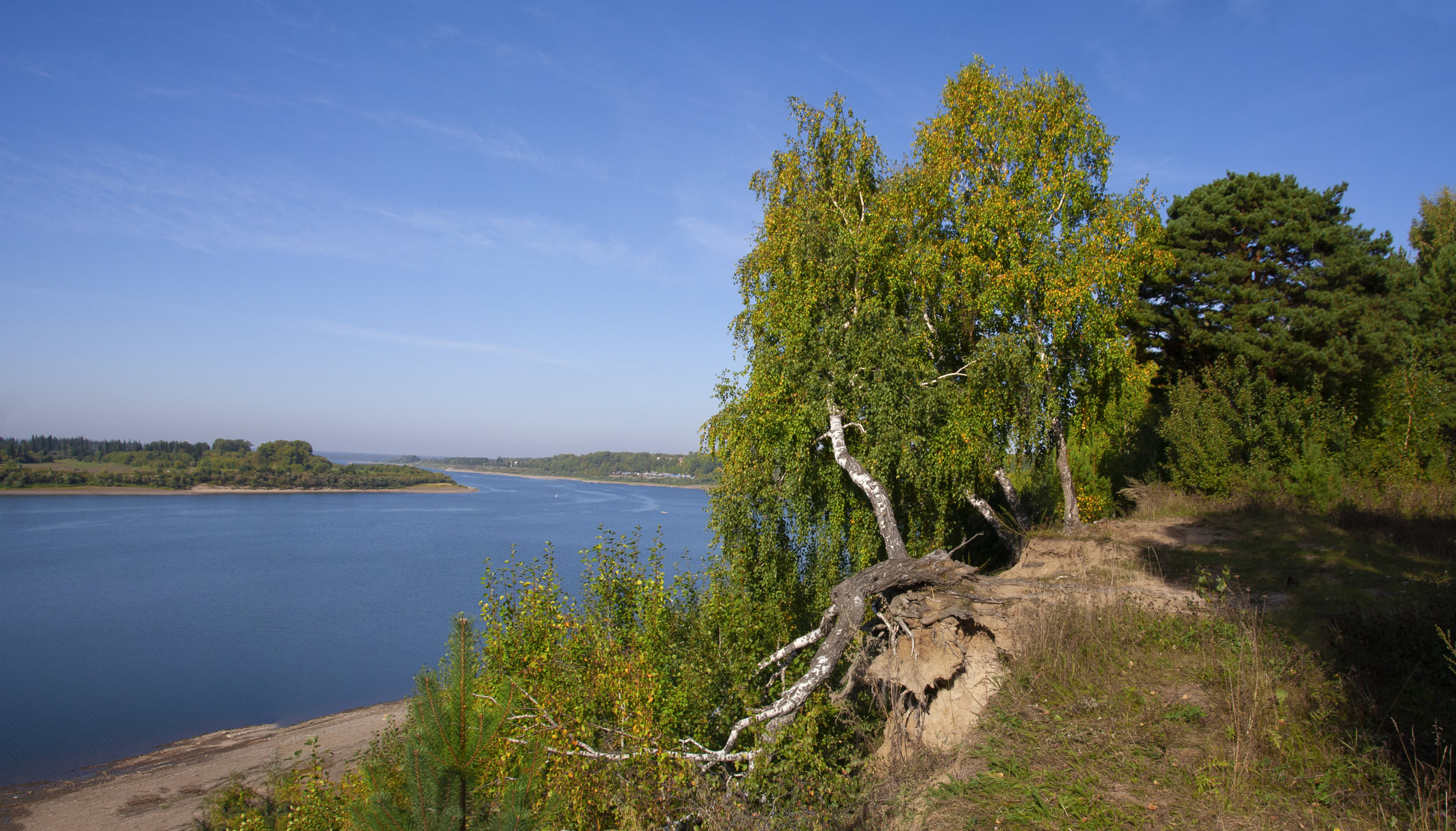 Сентябрь. Начало осеннего цветения