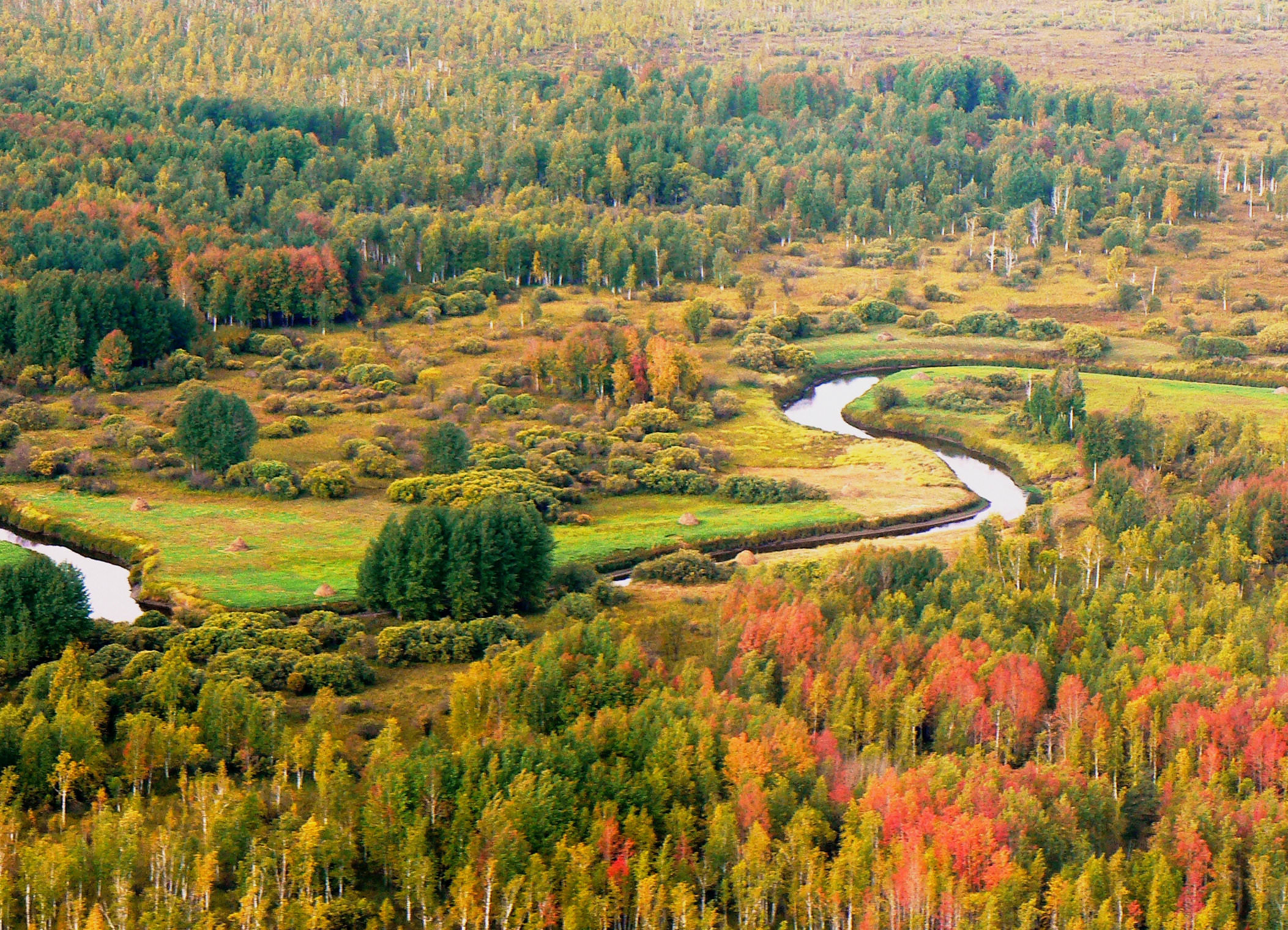 Палитра