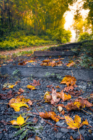 Осенняя дорога