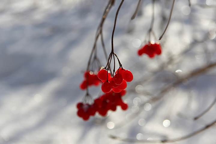 -25