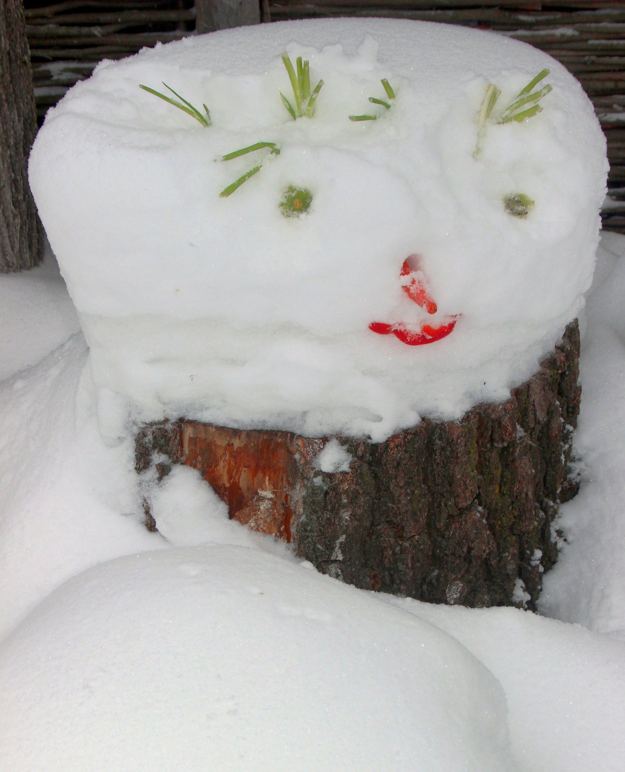голова снеговика