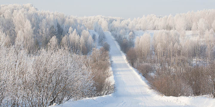 Зимник