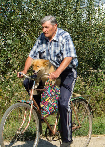 С верным другом