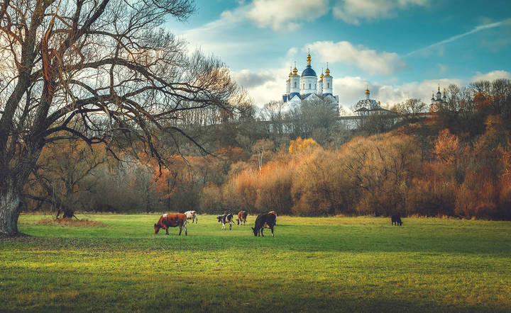 Осенняя пастораль