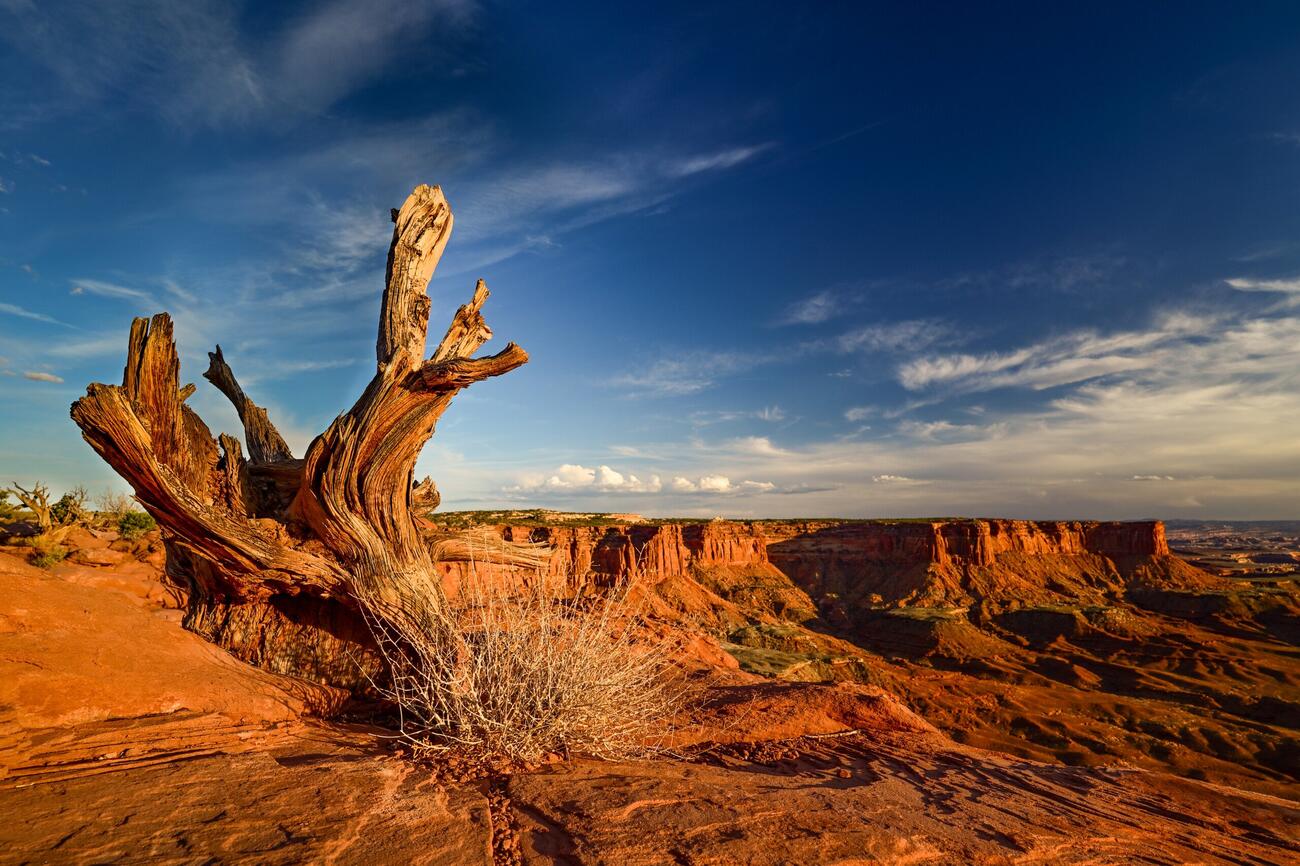 Фотография, сделанная с использованием камеры Nikon Z5 II