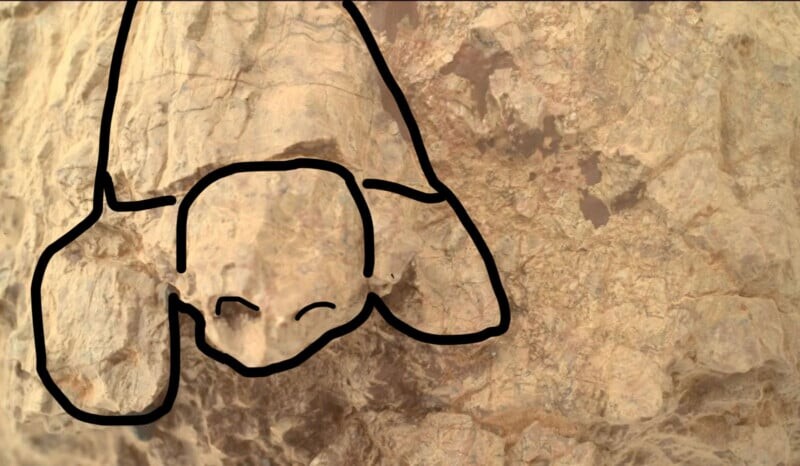 Каменная поверхность с черными линиями, образующими силуэт черепахи.