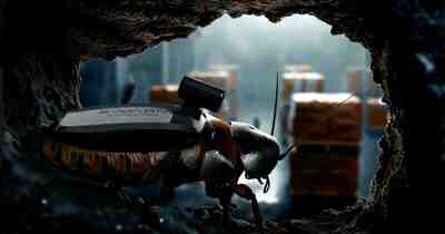 Германская армия призывает гигантских тараканов для шпионских операций