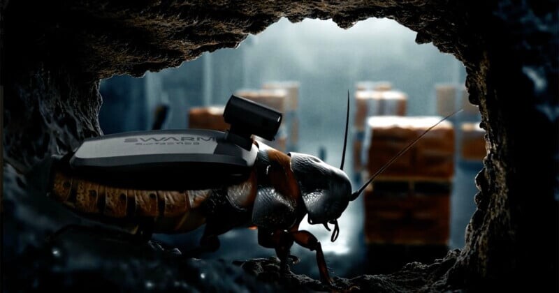 А close-up of a cockroach equipped with a small electronic device on its back, crawling through a hole, with blurred boxes visible in the background.