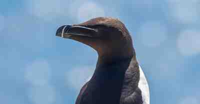 Как использовать теорию гештальта для создания более привлекательных фотографий