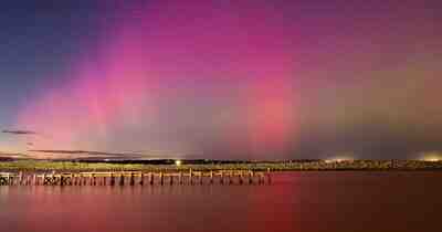 Фотография и странности цветов