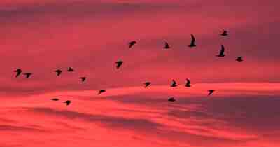 Ваше новогоднее решение: стать успешным фотографом