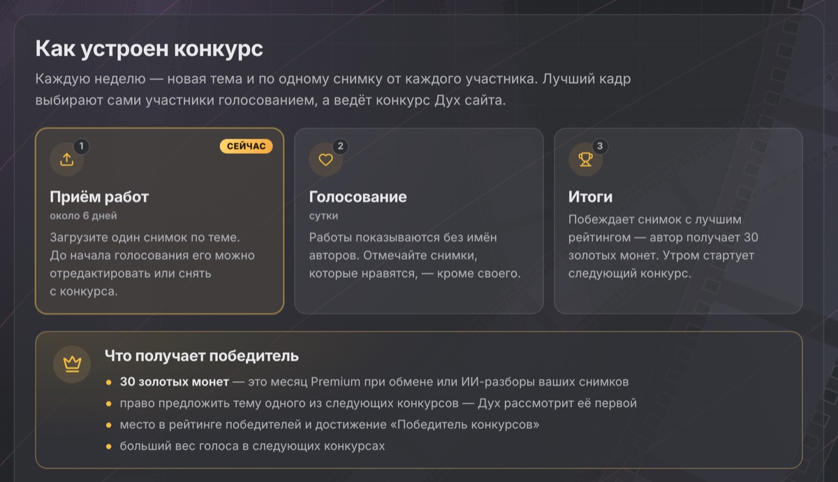 Как устроен конкурс: этапы недели и что получает победитель