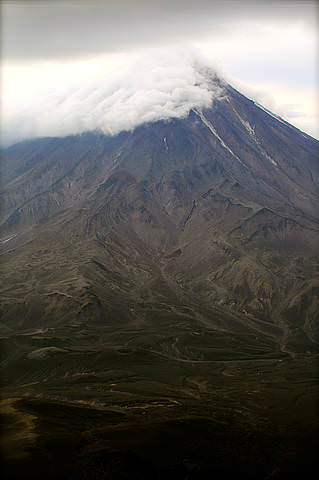 IMG_9884.jpg