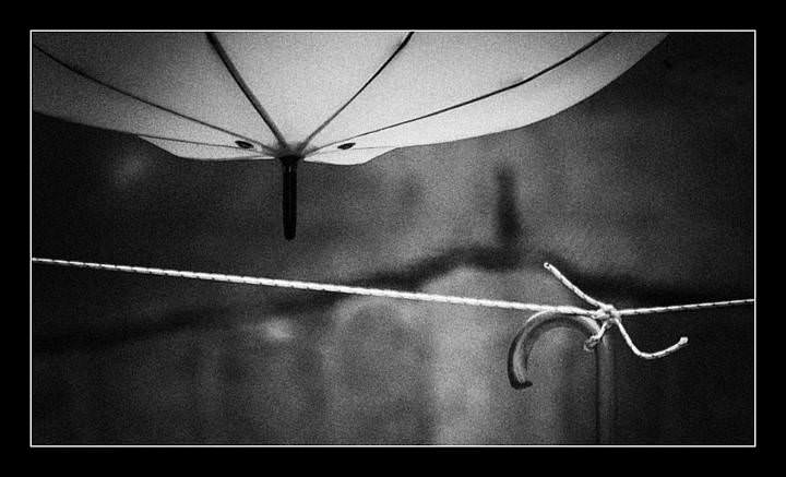 umbrella