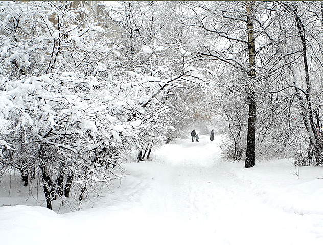  6. Занесённые снегом (Pastorale)