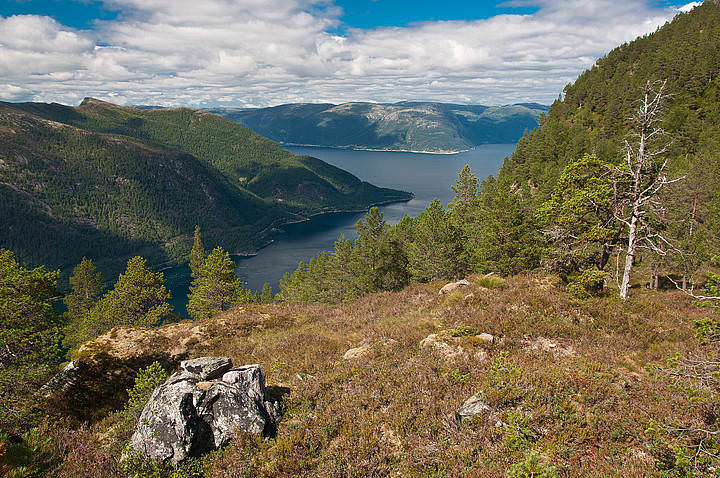 DSC_0509.jpg