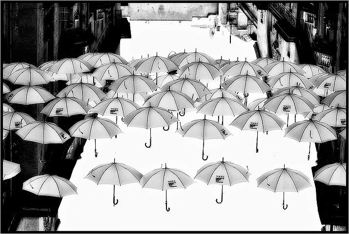rain of umbrellas
