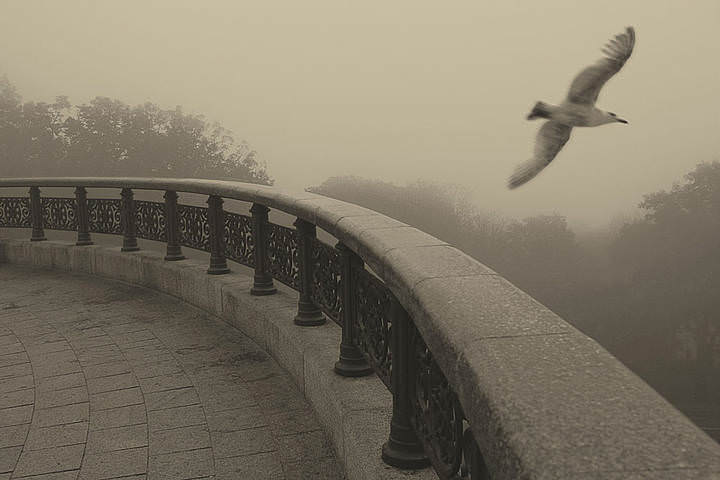 Киев утро