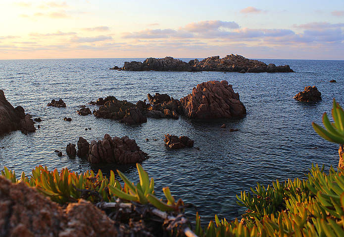 море