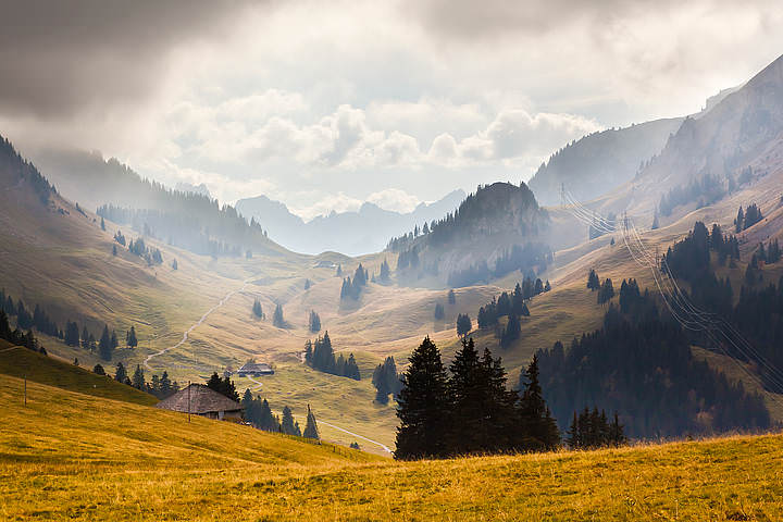 Шварцзи, кантон Фрибург, Швейцария