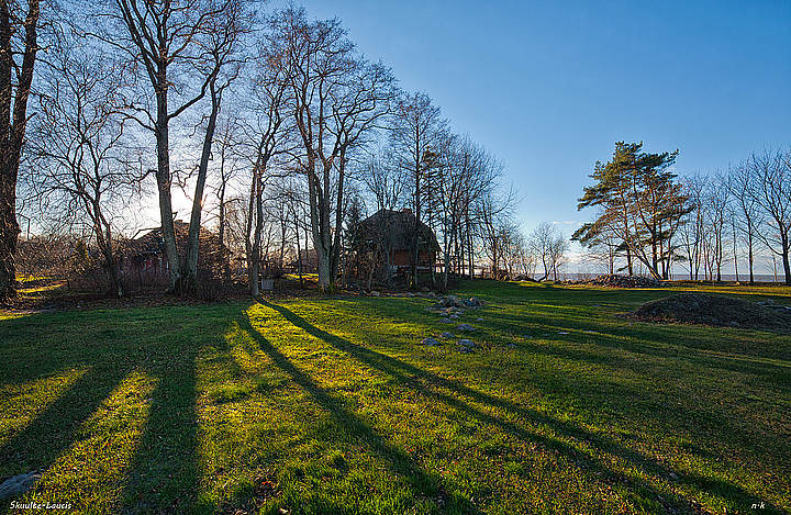 long shadows