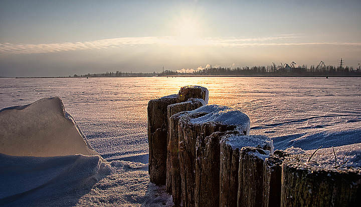 IMG_7894 сс.jpg