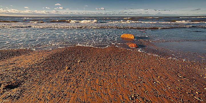 IMG_4718 ss.jpg